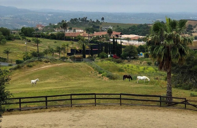 5-bedroom bed & breakfast in awesome Fallbrook with WiFi