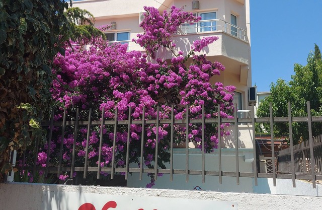 5-bedroom villa in fabulous Utjeha with AC, WiFi