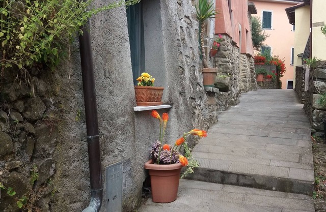 5 Cinque Terre auf dem Lande (Code CITRA 011006-LT-0002)