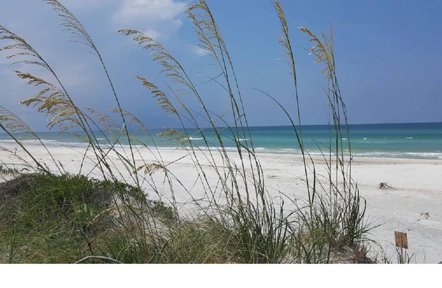 5 miles from the beautiful GULF OF MEXICO! Secluded, private, family campsite!