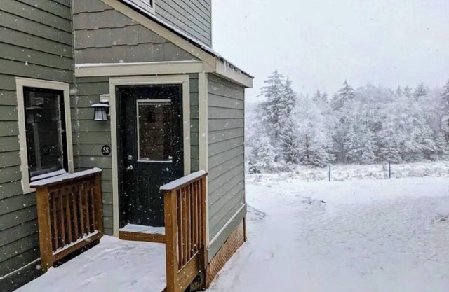 58 Powderidge, Snowshoe, WV - Cozy Chalet
