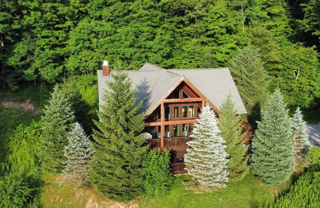 Spacious Cabin; 3 King Beds, Hot Tub, Fire Pit