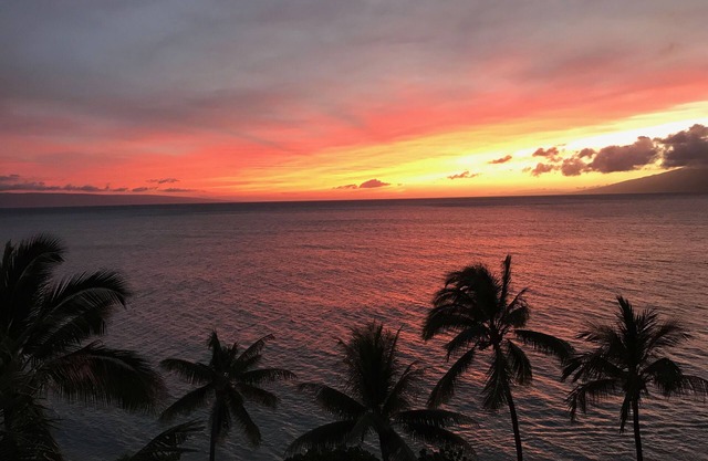 5th Floor Oceanfront-Einer der größten Eigentumswohnungen auf Maui-Sleeps 10 plus-Groß Bewertungen!