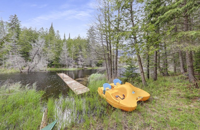 6 br stunning cottage in woods Own Waterfront