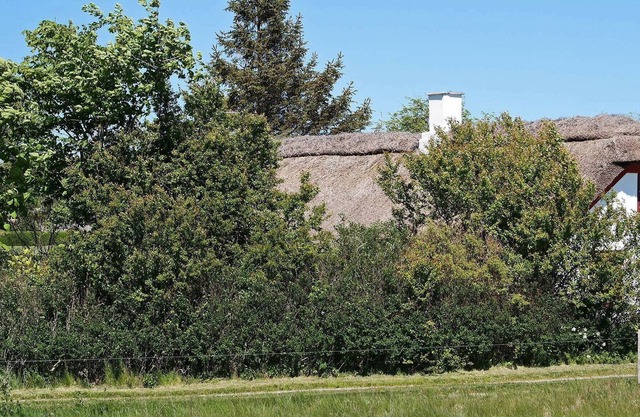 Gemütliches Cottage mit Terrasse in Vesløs