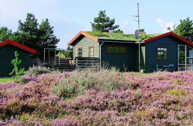 6 Personen Ferienhaus in Rømø-By Traum