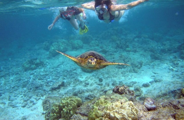 6. Waterfront Key Largo Studio, Near Kayaks & Reef