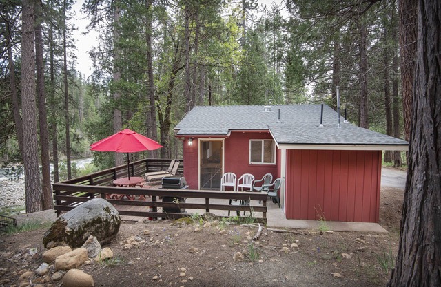 65 Spatzennest im Yosemite-Nationalpark