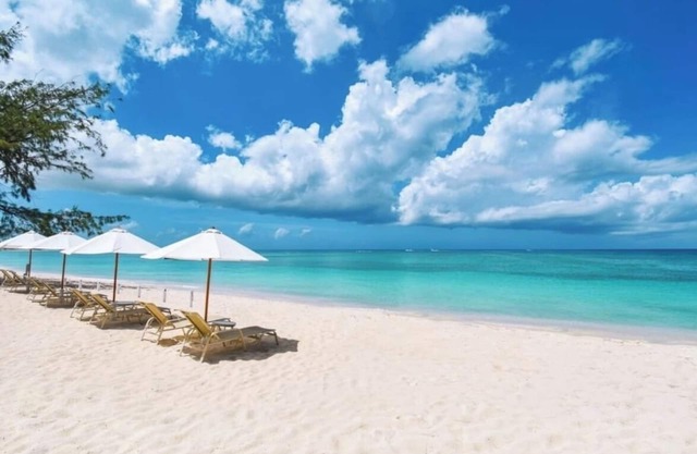 ** SUPER LAGE ** FAMILIENFREUNDLICH ** SCHEIBE PARADIES