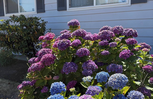 7 min to downtown Salem, Hospital, & Convention Center. 3bdrm 2.5 bath with WIFI