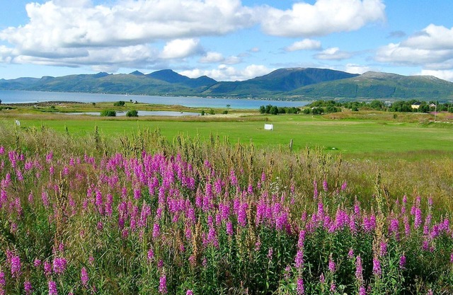 7 Personen Ferienhaus in SORTLAND-By Traum