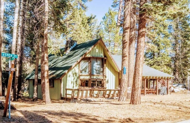 7200ft Elvtn,Sequoia Trl 100 Giant,LRG Family,Pets