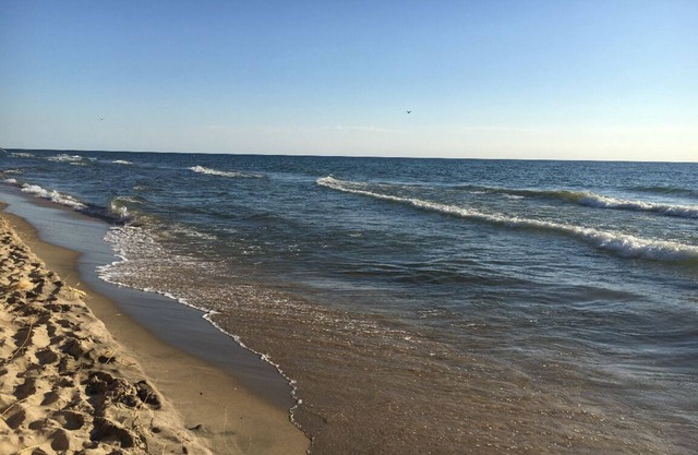 Einen Block vom Strand entfernt! Ein wunderschöner bewaldeter Ort, 5 Minuten zu Fuß vom See MI ..