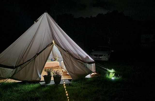 A Canopy under the Stars