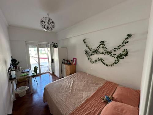 A Casa do Gato