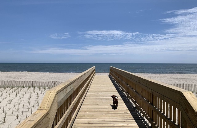 A Charming Fire Island Pines Beach House Getaway