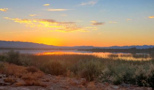 A Desert Oasis by the River