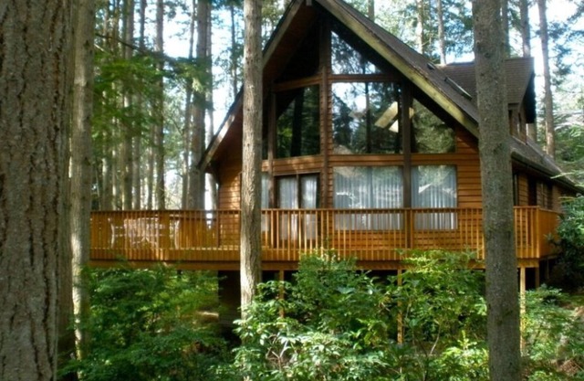 A-frame Hideaway ... Nur wenige Schritte vom Herzen von Gig Harbor entfernt