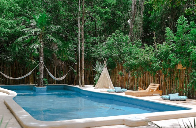 A full of love Jungle Hotel where everything is connected with nature