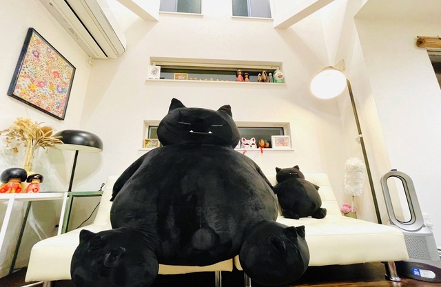 NEU!Shinjuku Ward House!4 Stationen in der Nähe, innerhalb von 10 Minuten zum Bahnhof ShinjukuEN ist verfügbar