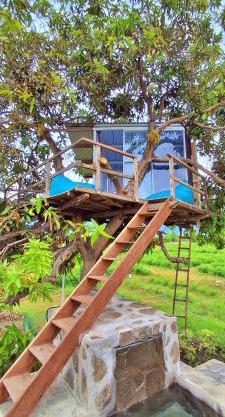 A Mango Tree House with a private swimming pool
