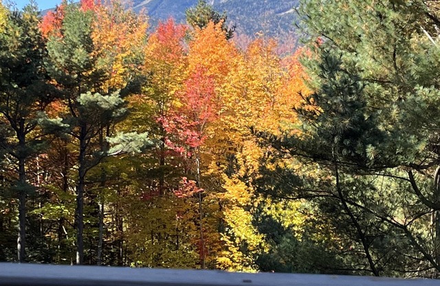 A Mountain View Chalet - Whiteface - Lake Placid