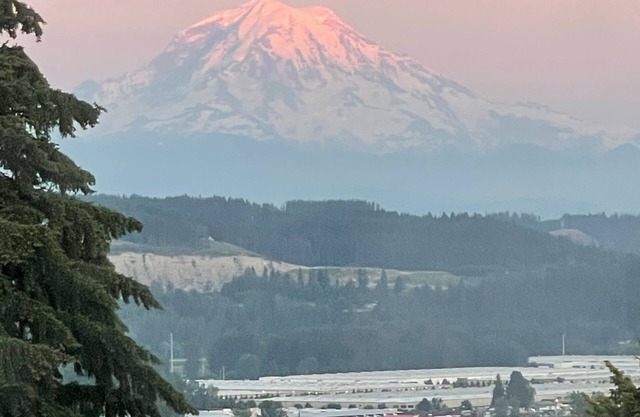A Mountain View Retreat with pool, hot tub and more...
