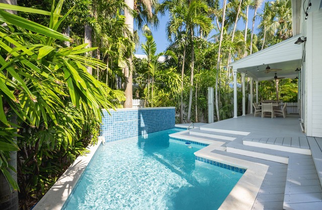 A Palm Tree Haven in Key West