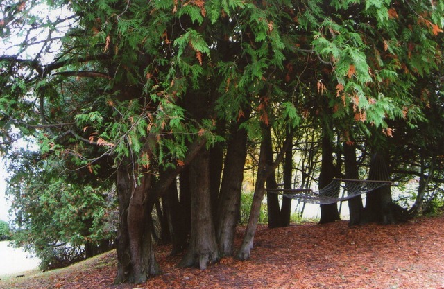 A Quiet Retreat In Door County nahe am Wasser, Geschäfte, Restaurants und Golf.