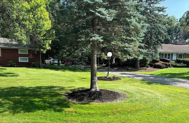 A relaxing home away from home, 20 minutes from downtown Detroit