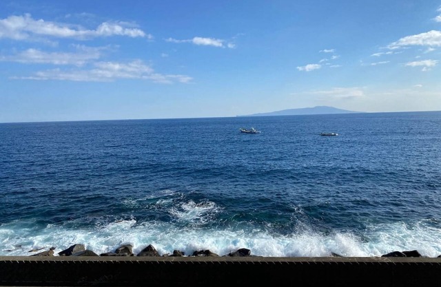 A renovated guest house where you can enjoy ocean / Kamo-gun Shizuoka