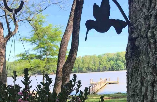 A River Front Paradise