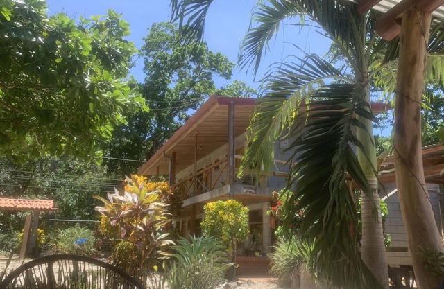 Lodge located in a jungle setting - room 1