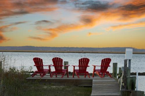 A Shore Joy