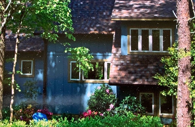 A tranquil escape from the hustle and bustle.