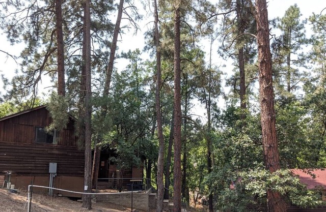 A2 Wildlife Viewing Glamping Cabin Restaurants