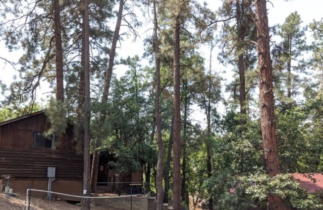 A4 Winter Cabin Getaway Riparian Areas & Lakes