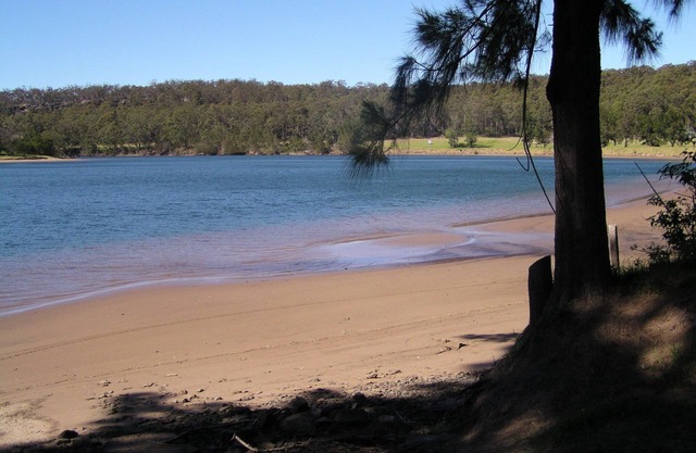 Absolute Waterfront - Grevillea und Banksia Villas in der Shoalhaven Lodge
