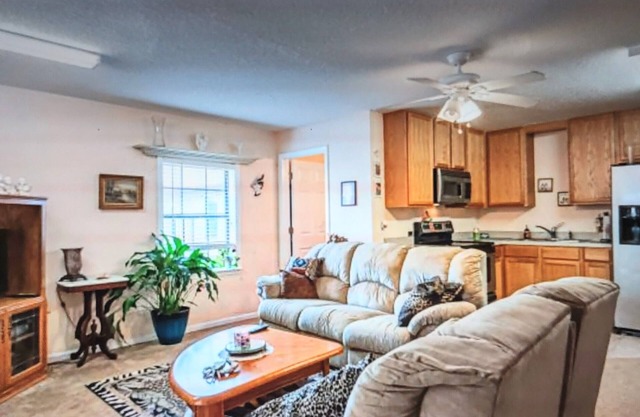 Absolutely Gorgeous home walking distance to Dr's Lake on Fleming Island!
