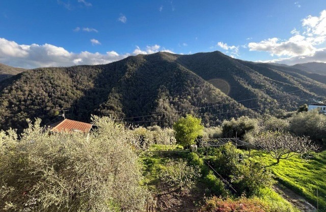 [AC & Garden] Olive Grove Oasis