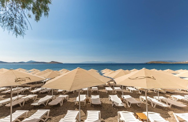 Acelya Motel