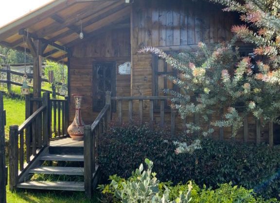 Acogedora cabaña de madera en la naturaleza para desconectarse