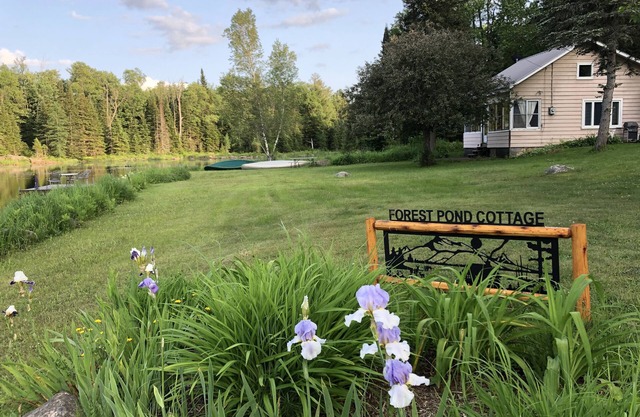 Adirondack Cottage - Vier Jahreszeiten, tierfreundlich, gemütlich und schön. Bewertungen lesen!