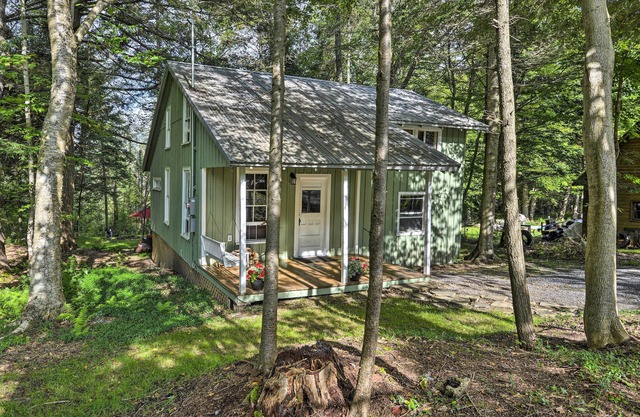 Adirondacks Cabin w/ Fire Pit on Otter Lake!
