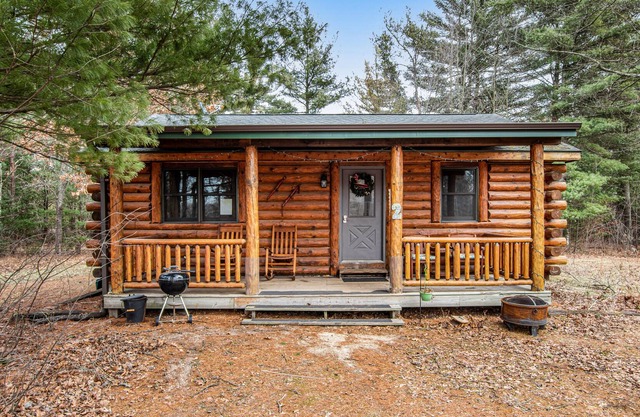 Adorable cabin with pond access, WiFi, furnished porch, & gas fireplace