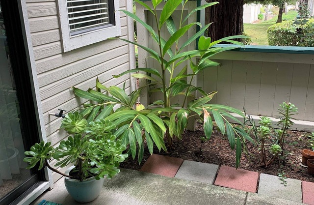 Adorable condo with WiFi in charming neighborhood
