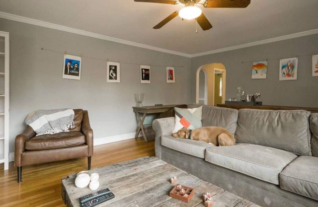 3 Ehrfurcht · Canine Cottage @ Berwyn MainLine