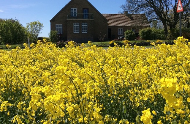 Abenteuerliche Blick auf den Fünen Archipel und der Ostsee
