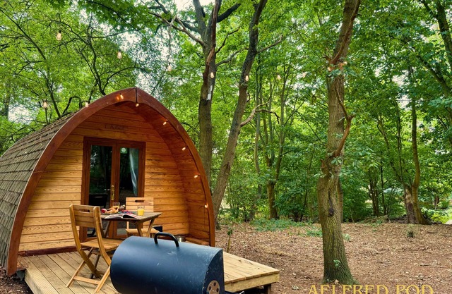 Aelfred Pod - in a calm woodland setting- ready for glamping?