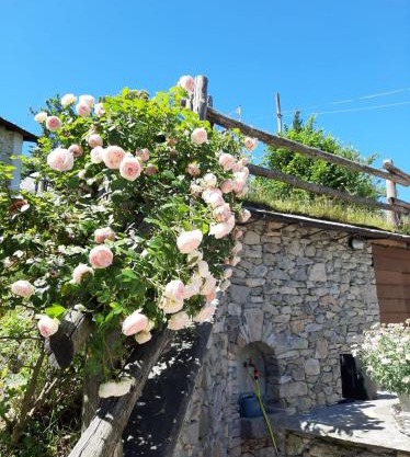 Affittacamere La Lea